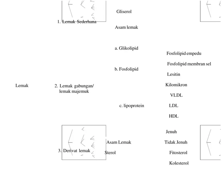 Gambar 1: Bagan Penggolongan Jenis Lemak (Tirtawinata, 2006) a) Lemak Sederhana