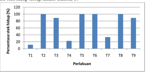Gambar 3. Diagram persentase stek hidup pada 12 MST 