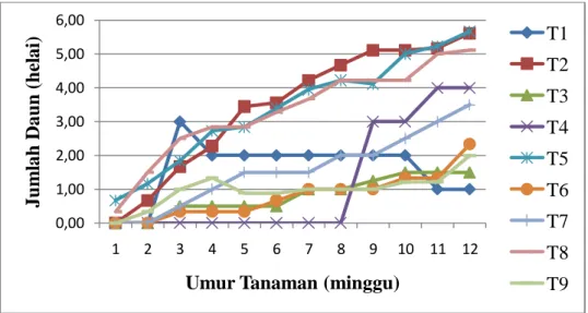 Gambar 2. Grafik Rata-rata Jumlah Daun 12 MST 