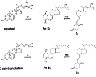 Gambar 2.2. Struktur Kimia Vitamin D 