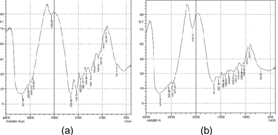Gambar 1. Spektra Inframerah Gelatin Komersial (a) dan Gelatin Kulit Ikan Lencam (b) 