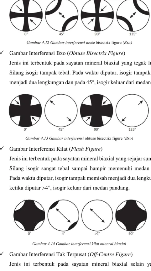 Gambar 4.12 Gambar interferensi acute bisectrix figure (Bxa) 
