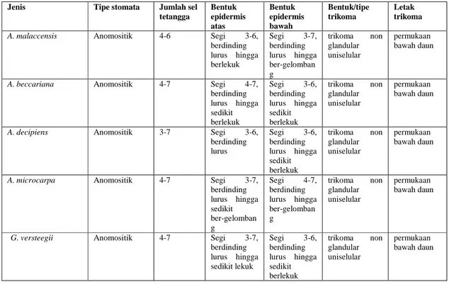 Tabel 4. Perbedaan penampang epidermal tumbuhan penghasil gaharu. 