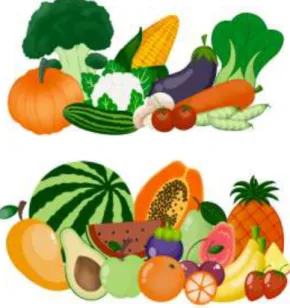 Gambar 10. Contoh Sayuran dan Buah-buahan yang dapat  Digunakan 