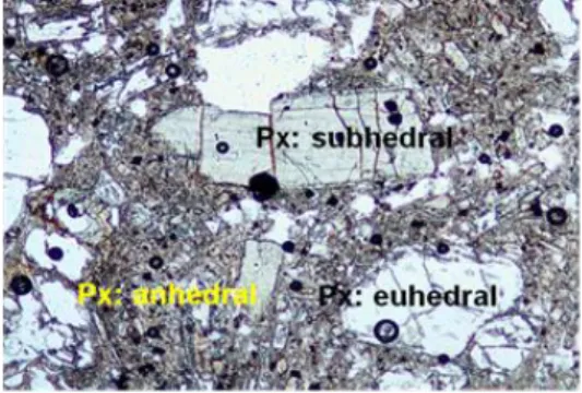Gambar 2.2 Contoh mineral piroksen dalam berbagai  jenis bentuk