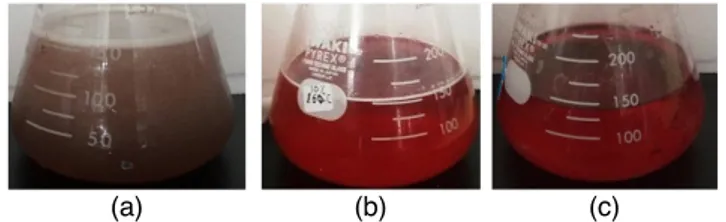 Figur 1. Hasil ekstrak antosianin beras hitam dengan pelarut  air (a), pelarut air + asam sitrat (b), dan pelarut etanol + asam  sitrat (c)