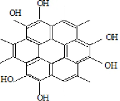Gambar 2.2 Struktur senyawa melanin (Robinson, 1995.) 