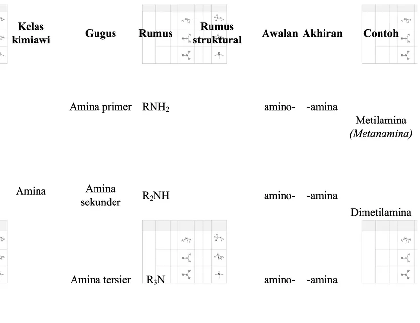 Tabel 1.Klasifikasi AminaTabel 1.Klasifikasi Amina