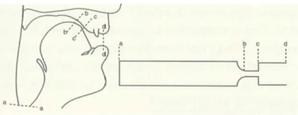 Gambar 4. Resonator Dua Tabung dan Pola Forman Terkait (Fants, 1960)  METODE PENELITIAN 