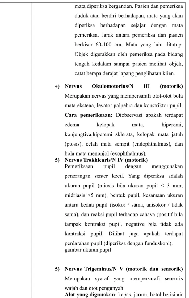 gambar ukuran pupil 
