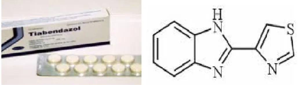 Gambar 8. Bentuk sediaan dan struktur Tiabendendazole.