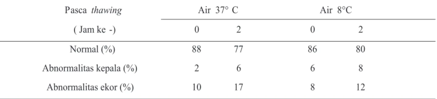 Tabel 2.  Rerata persentase morfologi spermatozoa semen beku sapi Friesian Holstein  yang di-thawing dalam  air 37°C dan 8°C selama interval waktu 2 jam