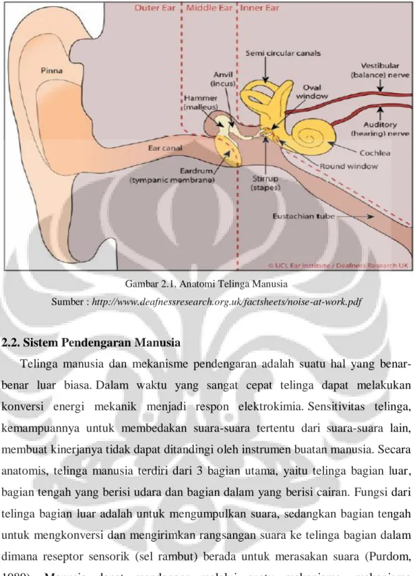 Gambar 2.1. Anatomi Telinga Manusia 
