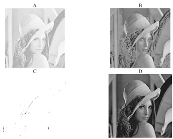 Gambar 10. Citra A hasil dari proses log transformssliced, citra B bentukan dari proses intensity , citra C merupakan hasil dari proses histogram equalized, dan citra D merupakan bentuk dari power law transforms 