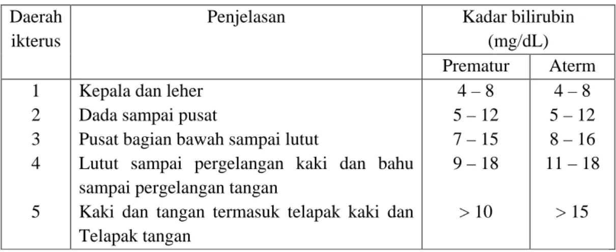Tabel 2.1 Hubungan Kadar Bilirubin (mg/dL) dengan Daerah Ikterus  Menurut Kramer 