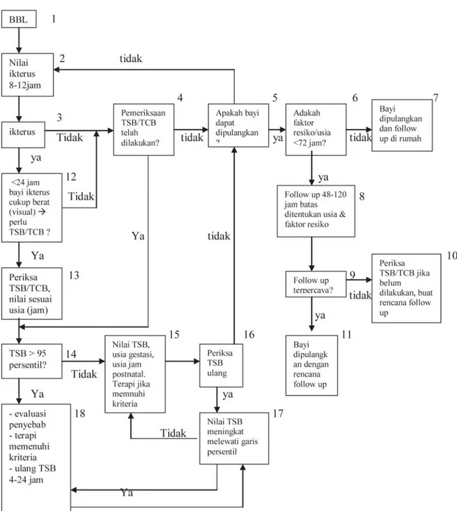 Gambar 4. Algoritme Manajemen/Tatalaksana Ikterus Neonatorum (Di Ruang Perawatan) (Aap, 2004)