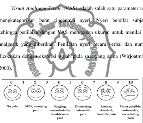 Gambar 1.1 Visual Analogue Scale (VAS)  VAS 0  = tidak nyeri 