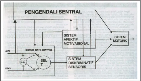 Gambar 3. Teori  Gate Control  (Walton RE.  Prinsip dan praktik ilmu            endodonsi