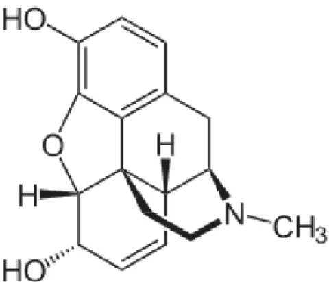 Gambar 6. Struktur Morfin 