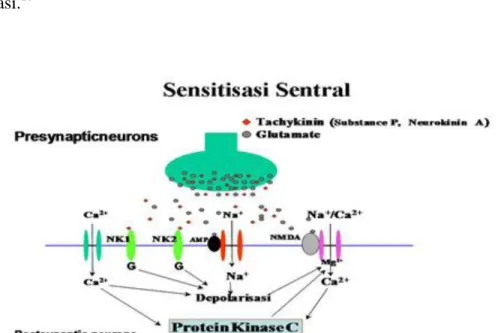 Gambar 3. Sensitasi sentral 