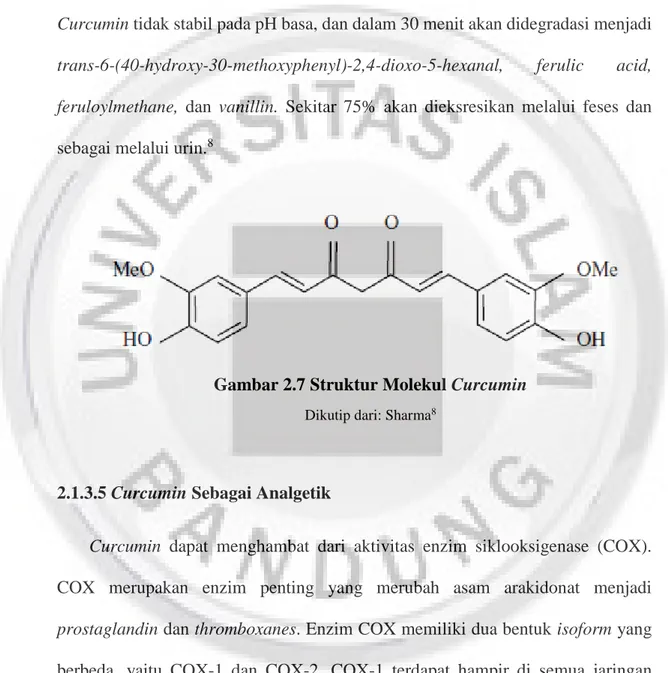 Gambar 2.7 Struktur Molekul Curcumin 