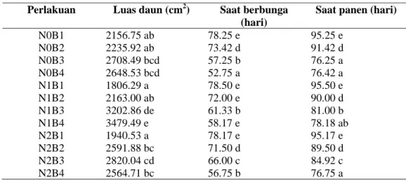 Tabel  2   Rata-rata luas daun, saat berbunga  dan saat panen akibat perlakuan saat pemberian pupuk  dasar nitrogen dan umur bibit   