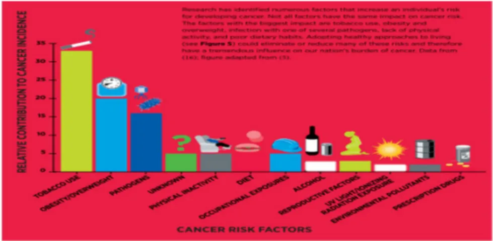 Gambar 2.2. Faktor risiko kanker 