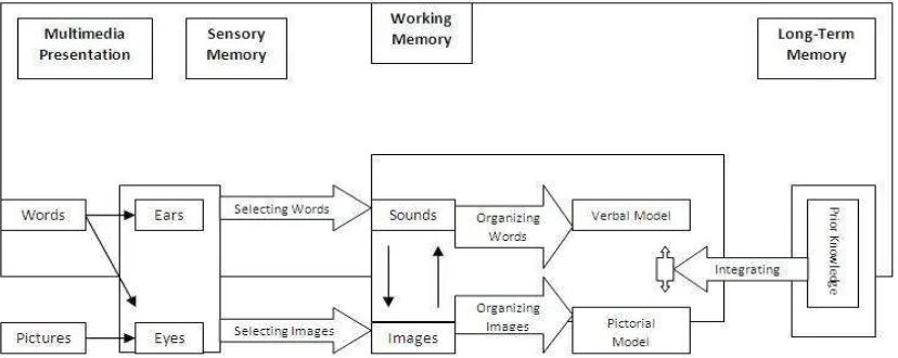 Figure 1 The Cognitive Theory Model of Multimedia Learning (Jones and Plass, 2002;  Mayer and Moreno, 2003)