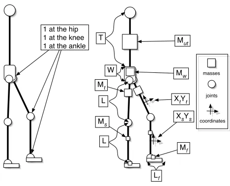 Fig. 1. Left: Degrees of freedom in the body. Right: body parameters evolved bythe genetic algorithm.