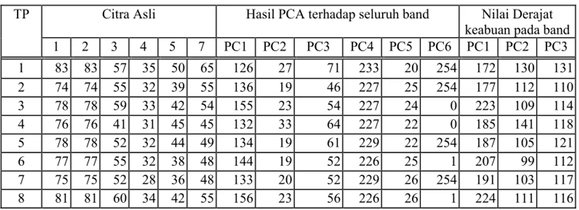 Tabel 3. Hasil Pengamatan Nilai Derajat Keabuan Piksel Citra Asli Pada Posisi Titik Pengamatan 