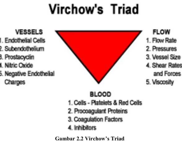 Gambar 2.2 Virchow’s Triad 