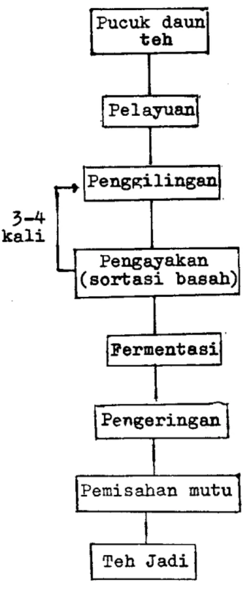 Gambar  2.  Bagan  proses  pengolahan  teh  hitam  (Nasution  dan  Tjiptadi,  1981) 