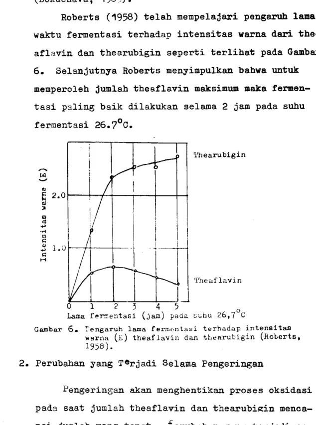 Gambar  6.  fengaruh  lama  ferrr,cntasi  terhadap  intensi  taB  warna  (E)  theaf1avin  dan  tbearutigin  (Roterts,  1958)