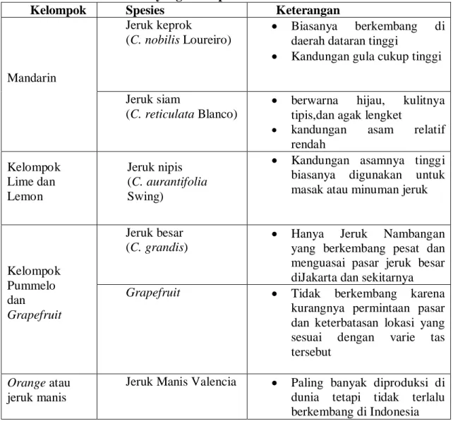 Tabel 4 : Jenis Buah Jeruk yang Terdapat di Indonesia 