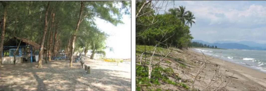 Gambar 4. Pantai Tipe 1 yang mewakili bagian selatan daerah penelitian, Pantai Lakua-Desa Lengayang (kiri), Pantai Salido  (kanan).