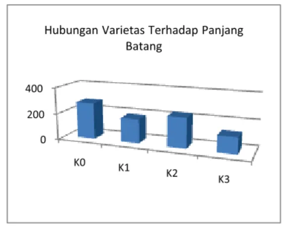 Tabel 1. Pengaruh Pemupukan dan Varietas  Terhadap Panjang Batang (cm)