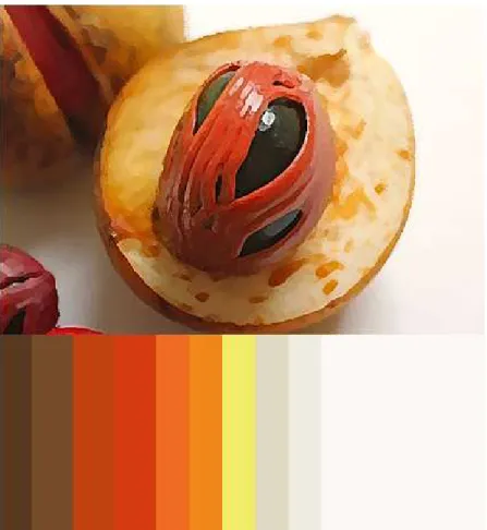 Gambar 4.6 Color Scheme
