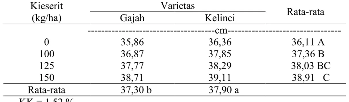 Tabel  1  menunjukkan  bahwa  taraf  dosis  pupuk  Kieserit  125  kg/ha  dapat  meningkatkan  pertumbuhan  tinggi  tanaman  kacang  tanah