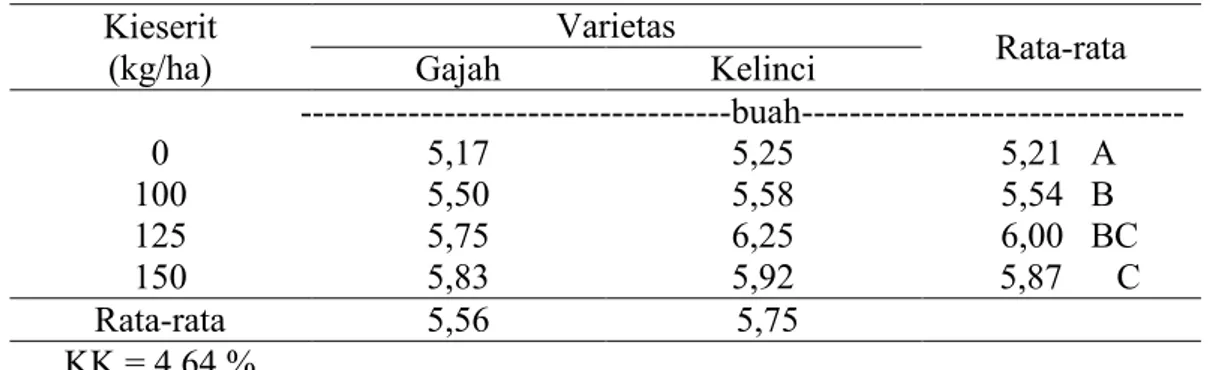 Tabel  3  menunjukkan  bahwa  jumlah  cabang  primer  pada  pemberian        kieserit  125  kg/ha  adalah  6,00  buah,  sama  dengan  jumlah  cabang  primer  pada  pemberian  kieserit  150  kg/ha  dan  100  kg/ha  yaitu  masing-masingnya  5,87  buah  dan  