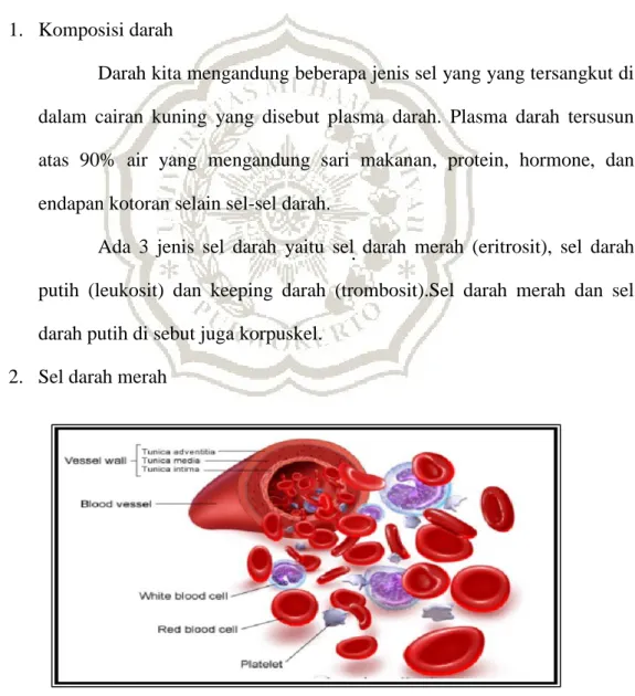 Gambar 2.1 Sel Darah Merah  Sumber : Pearce (2009) 