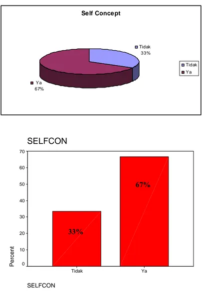 Gambar 4.8. Profil Responden Berdasarkan Self Concept 