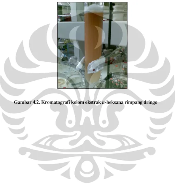 Gambar 4.2. Kromatografi kolom ekstrak n-heksana rimpang dringo    