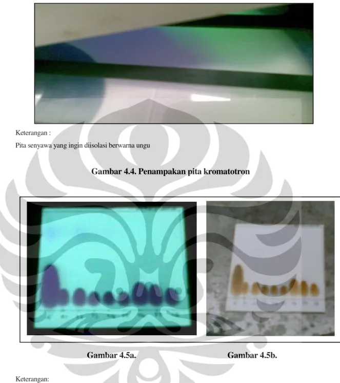 Gambar 4.5a.  KLT Satu Bercak Fraksi Kromatotron dengan Pengamatan di Bawah Sinar UV 254 nm  Gambar 4.5b