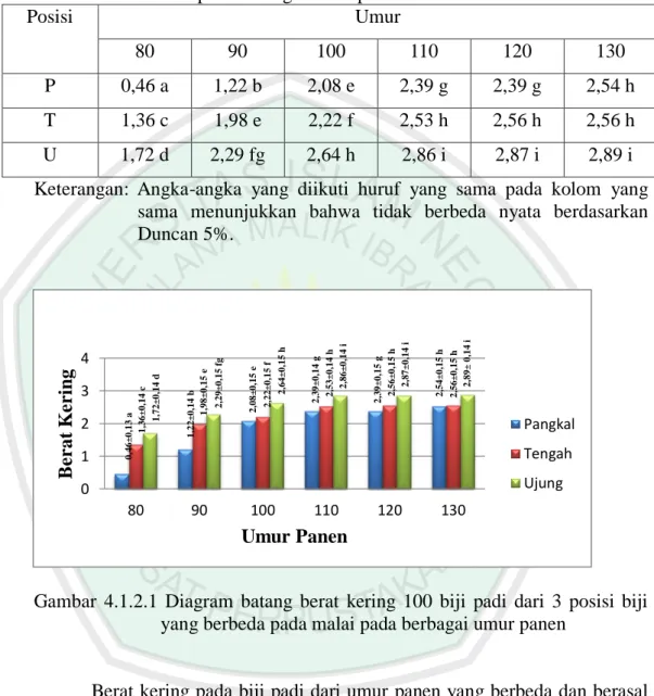 Tabel  4.1.2.3  UJD  berat  kering  100  biji  padi  dari  posisi  yang  berbeda  pada  malai pada berbagai umur panen 