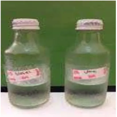 Gambar L.9 Hasil Bioetanol dari Biji Nangka 