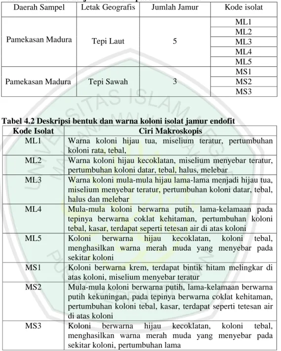 Tabel 4.1. Hasil isolasi jamur endofit pada daun Mimba 