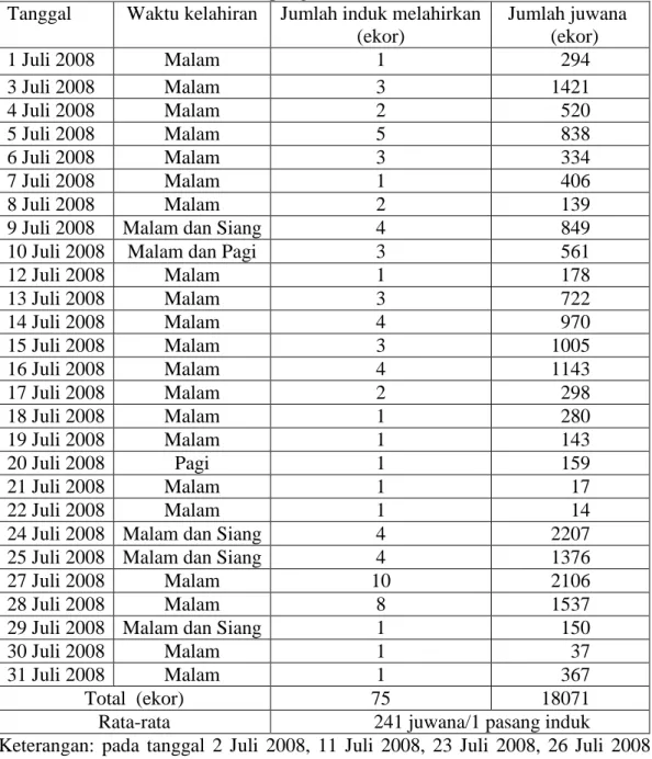 Tabel  3.  Kelahiran  juwana,  jumlah  juwana,  dan  jumlah  induk  Melahirkan  bulan  Juli 2008 di BBPBL Lampung