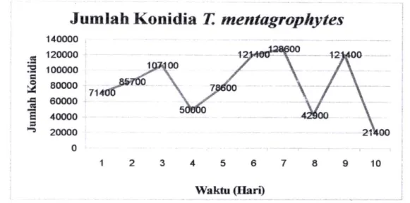 Gambar 3. Kurva Pertumbuhan Jumlah konidia T. mentagrophytes  terhadap waktu dalam medium PDA 