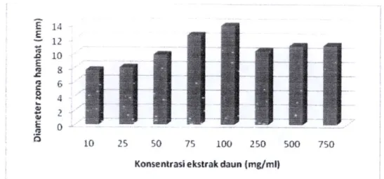 Gambar 4. Diameter zona hambat ekstrak metanol daun A. conyzoides  terhadap pertumbuhan S