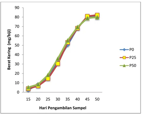 Gambar 4. Grafik perkembangan berat kering biji kedelai dengan pemberian tiga  dosis pupuk fosfor